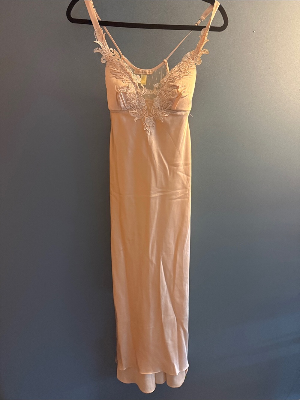 Flora Nikrooz satin slip dress nightgown
